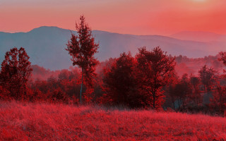 Red sunset mountain trees lake - andrey ryabovichev free wallpaper