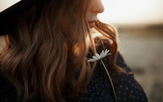 Woman hat flower sunlight shallow - cindy wright free wallpaper for desktop