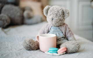 Teddy bear coffee pills soft - soft color free wallpaper