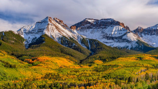 Mountain range snowy trees autumn - the top free wallpaper for desktop