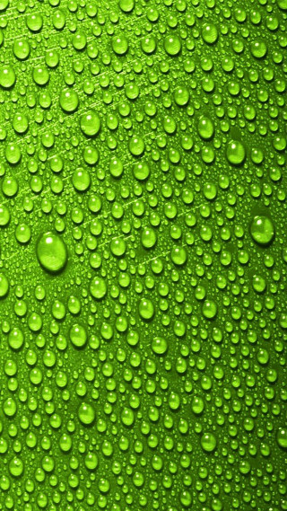 Green background water drops photo - green free wallpaper for mobile