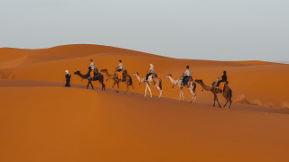 Sahara camel riders morocco matte - the desert free wallpaper