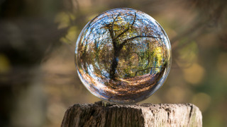 Glassball woods reflection magic realist - a wooden post free wallpaper