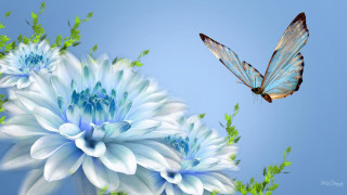 Butterfly flying blue flower green - a blue sky background free wallpaper for desktop