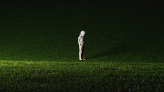 Person grass light head forest - surreal free wallpaper