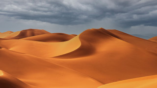 Sand dunes cloudy sky trees 2 - under a cloudy sky free wallpaper