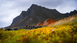 Mountain house flowers ecological autumn - artur grottger free wallpaper for desktop