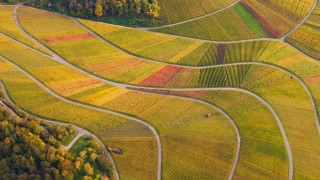 Large field trees road aerial - a large field free wallpaper for desktop