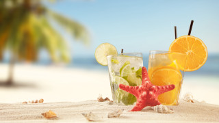 Starfish beach palm drink summer - a beach free wallpaper for desktop