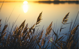Sunset lake tallgrass tranquil berndfasching - the foreground and a body of water free wallpaper