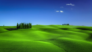 Green field trees blue sky 10 - a green field free wallpaper