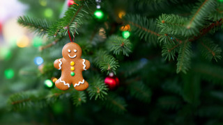 Christmas ornament hanging lights deer - bokeh free wallpaper