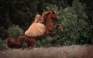 Girl dress horse flower forest - elinor proby adams free wallpaper