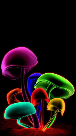 Colorful mushrooms night dark group - art green free wallpaper for mobile