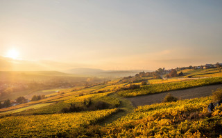 Scenic rural sunset person path - a scenic view free wallpaper