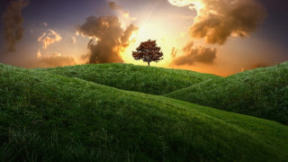 Hill sunset tree clouds landscape - a sun setting behind free wallpaper