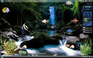 Computer waterfall fish screenshot image - screen free wallpaper