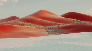 Desert sand dunes clouds plants - sand free wallpaper