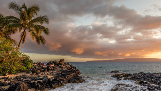 Beach palm rocks couple cloudy - the water under a cloudy sky free wallpaper