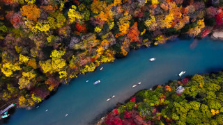 River trees boats autumn leaves - dave arredondo free wallpaper