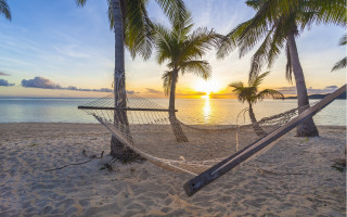 Beach hammock palm trees sunset - a hammock free wallpaper
