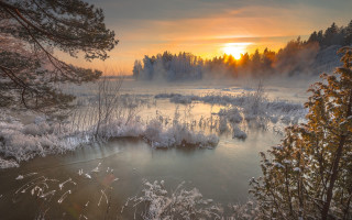 River trees snow sunset fog - covered ground free wallpaper