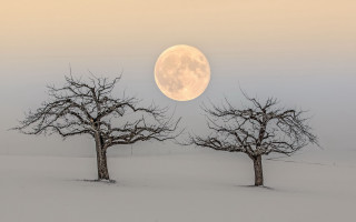 Full moon snowy forest foggy - over a snowy landscape free wallpaper