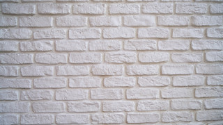 White brick wall black cat 2 - a white brick wall free wallpaper