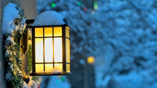 Snowy lantern evergreens bokeh shrine - a lantern free wallpaper for desktop