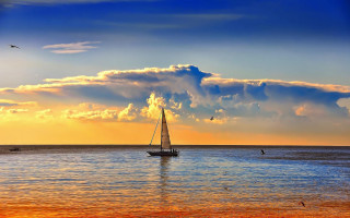 Sailboat sunset ocean bird sky - a sailboat free wallpaper