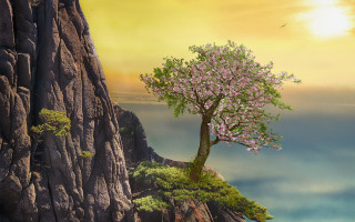 Tree cliff bird sunset fantasy - a cliff free wallpaper