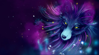 Wolf yelloweyes purplehair nightstars bubbles - a wolf free wallpaper