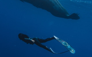 Woman wetsuit swimming whale holography - a wet suit free wallpaper