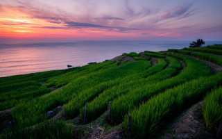 Sunset hill lake clouds grass - a grassy hill free wallpaper