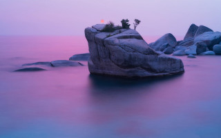Rock formation water tree purple - water free wallpaper