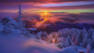 Sunset snowy mountain mystical forest - the background and a sun free wallpaper