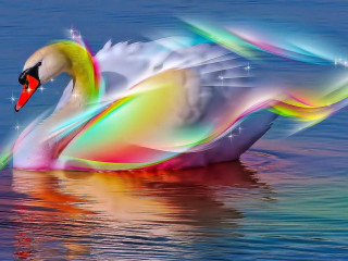 Swan floating water wings glowing - a swan free wallpaper