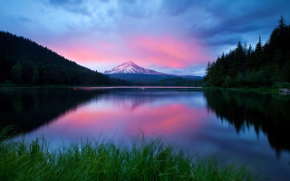 Mountain lake pink sky forest - tall grass free wallpaper