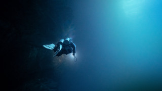 Diver wetsuit surfboard helmet hologram - wet free wallpaper for desktop