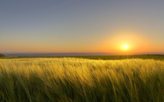 Sunset field hill clouds grass - tall grass free wallpaper