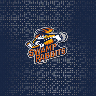 Blue background swamp rabbit baseball - digital free wallpaper for tablet