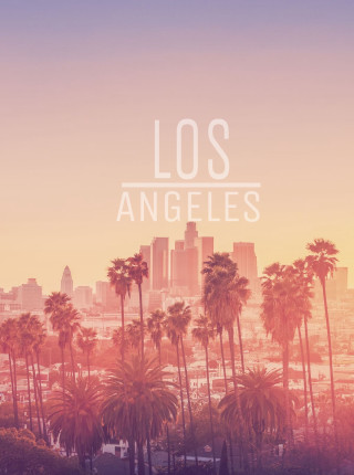 Los angeles sunset palm trees - sky free wallpaper for mobile