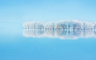 Lake trees blue sky winter - a blue sky above free wallpaper for desktop