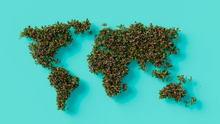 World map plants ecological 3d - tiny free wallpaper for desktop