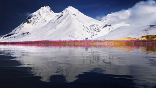 Mountain lake clouds pinkflowers landscape - free winter wallpaper