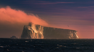Iceberg bird pink sky ocean - amazing free wallpaper