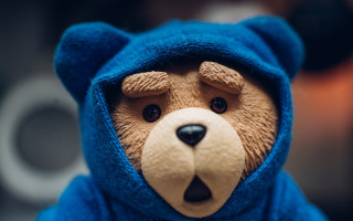 Teddy bear blue hooded costume - a hood free wallpaper