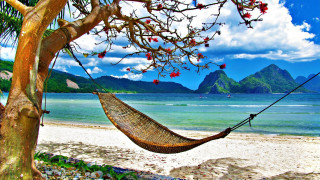 Hammock tree beach ocean mountains - a hammock free wallpaper