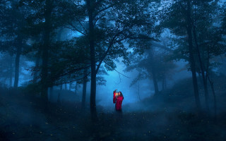 Forest foggy night fireflies magic - firefly free wallpaper