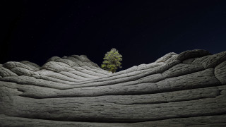 Lone tree night stars mountains - a lone tree free wallpaper